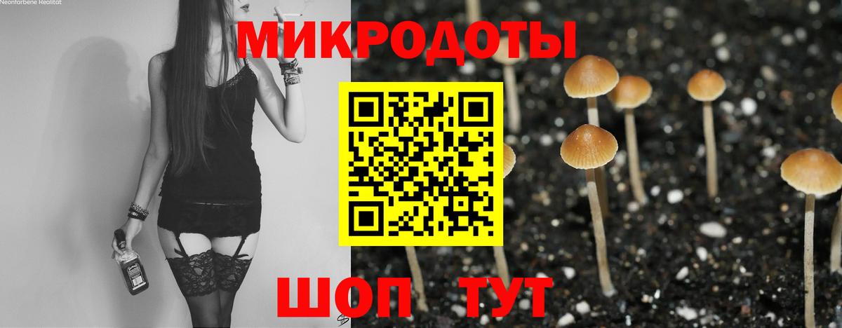 наркошоп  Вход с VPN  Краснокаменск  Псилоцибиновые грибы Psilocybe 