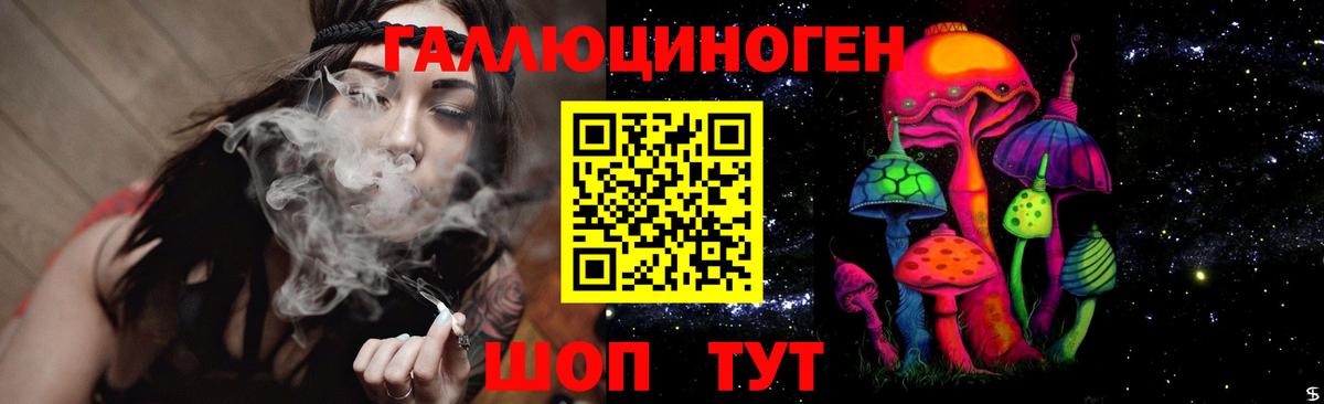 APVP Краснокаменск